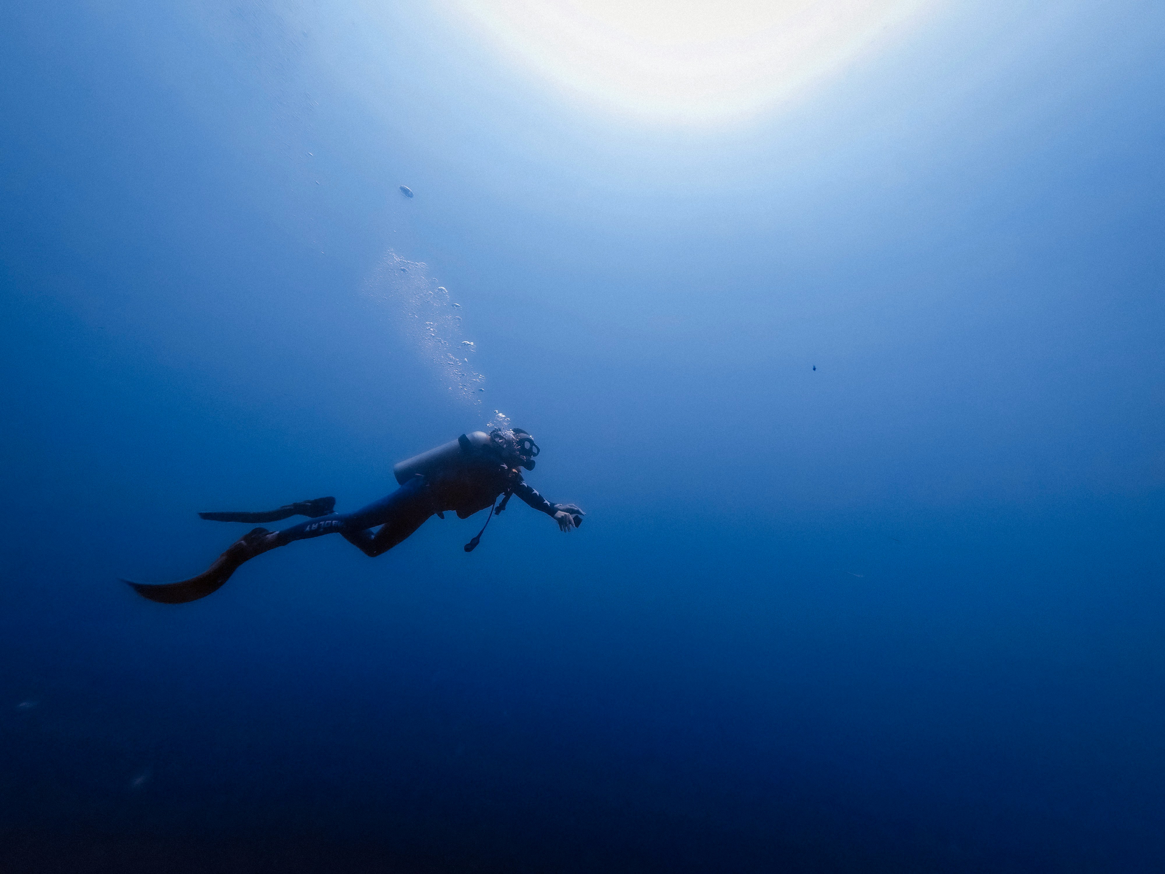 Diver underwater with coral reef